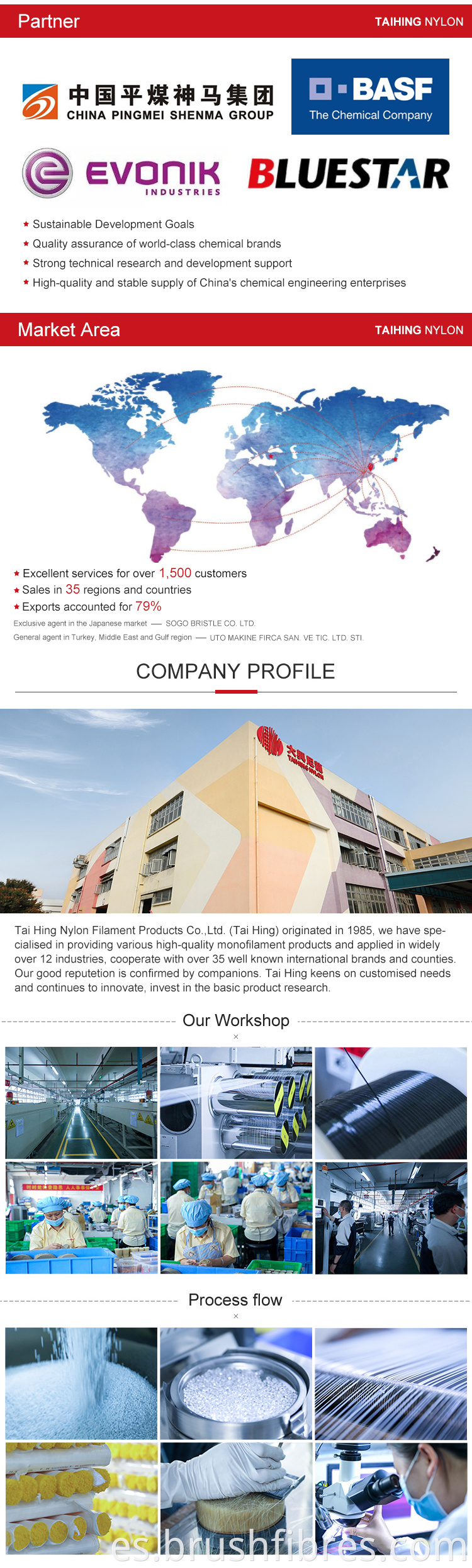 Company Profile